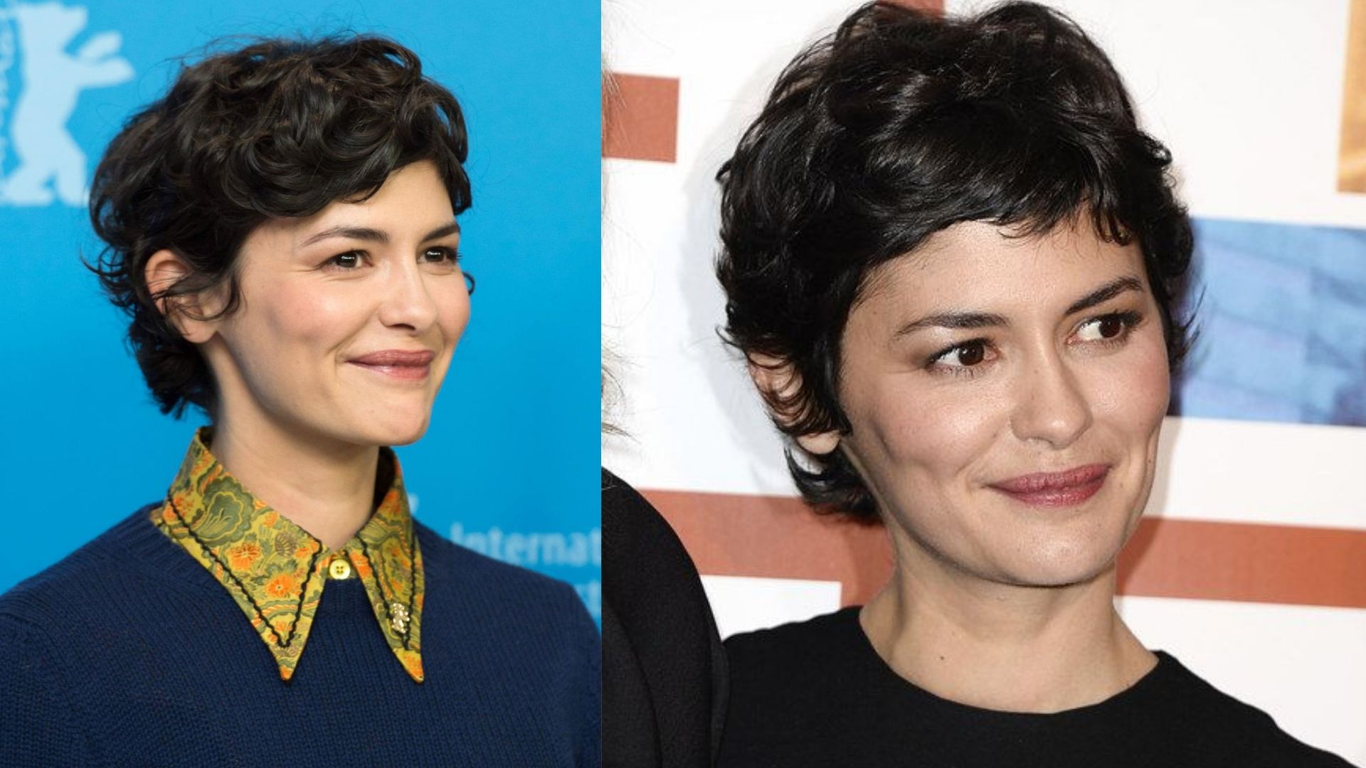 audrey tautou current companion